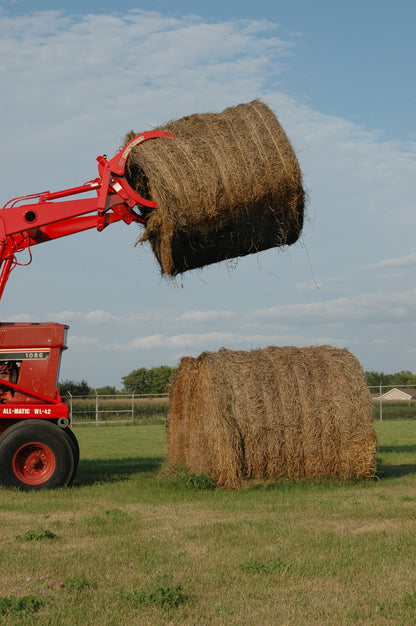 BC-5000 Brush Crusher™