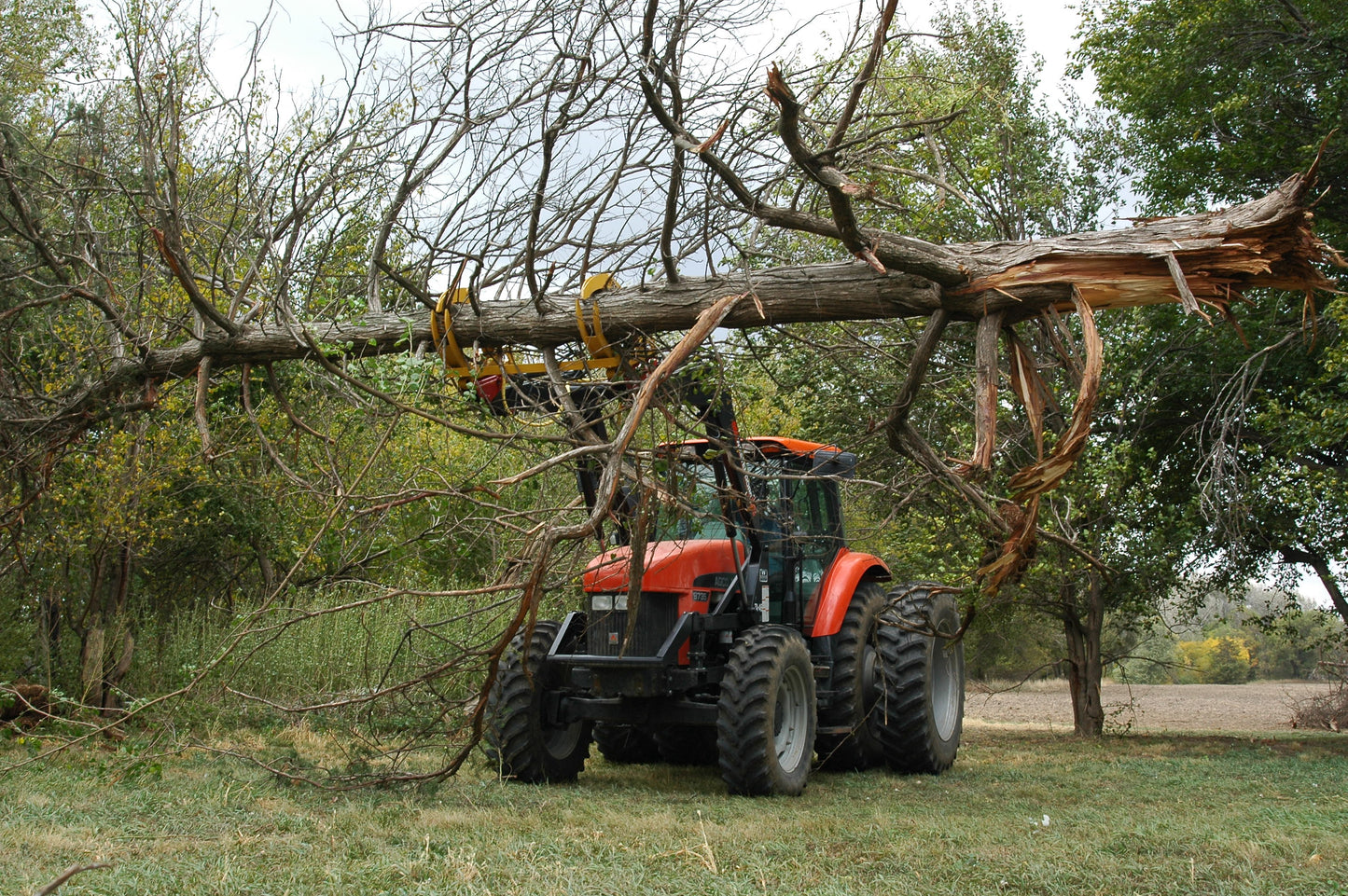 BC-6000 Brush Crusher™