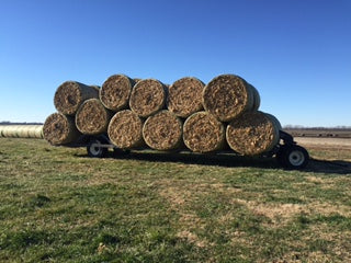 Hay Man Bale Limo