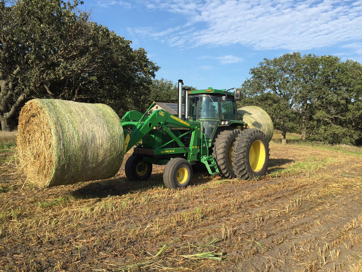 WL-42 WL Series Loader